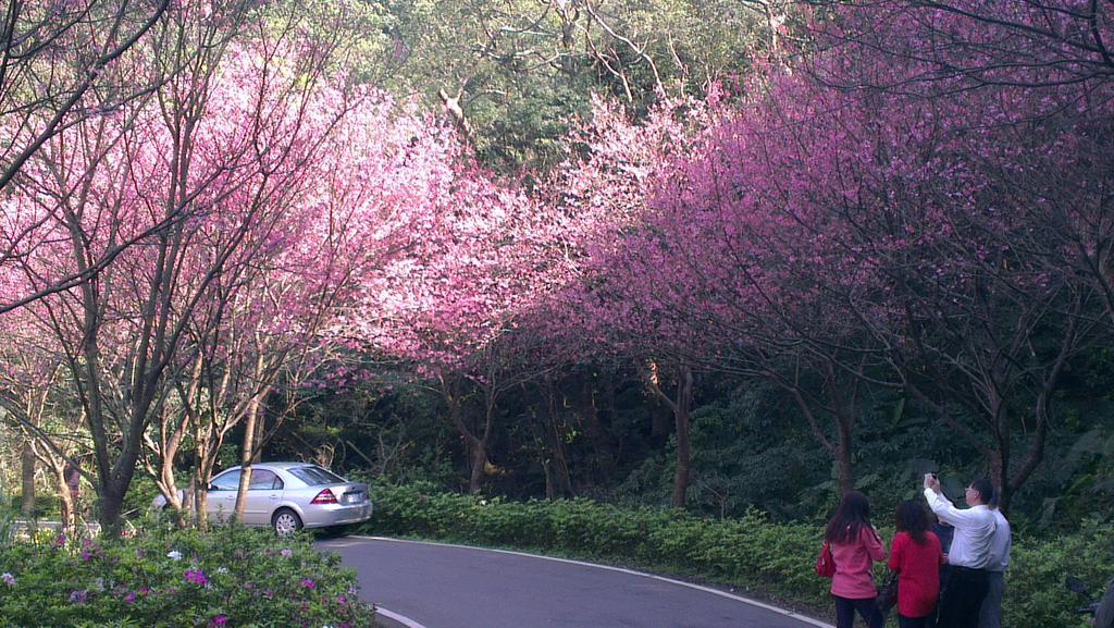 Sanzhi Emoonten Homestay מראה חיצוני תמונה